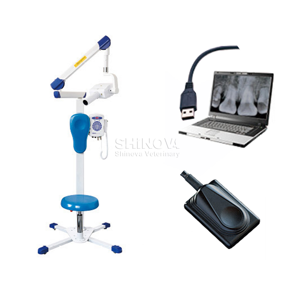 Цифровая зубная рентгеновская система Lmaging (Dental DR)