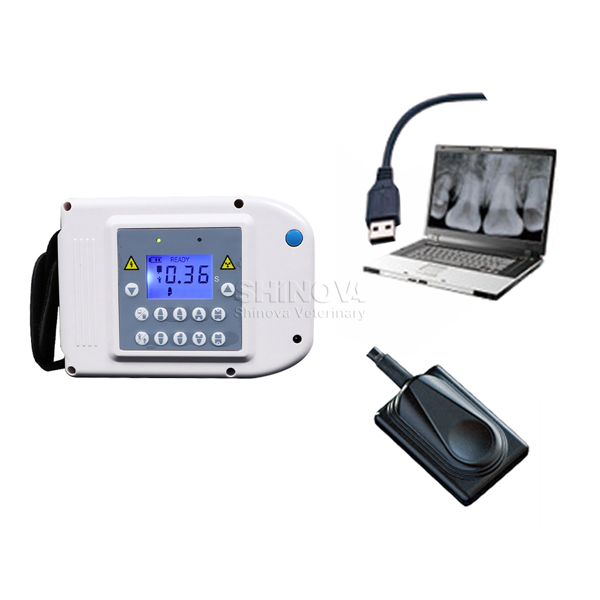 Цифровая зубная рентгеновская система Lmaging (Dental DR)